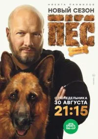 Пёс (7 сезон) смотреть на лордфильм онлайн